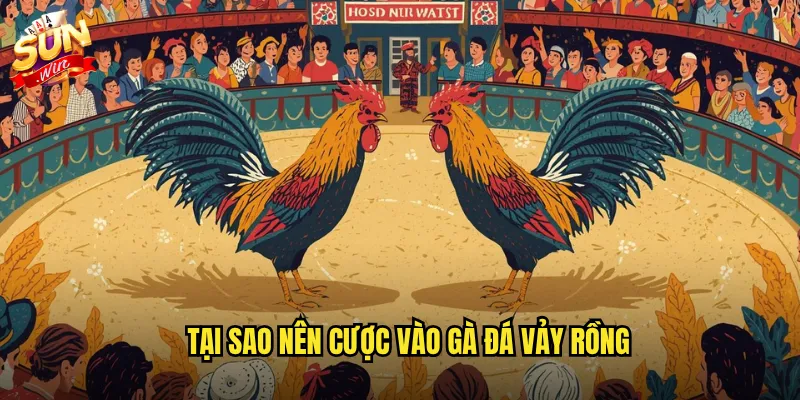 Tại sao nên cược vào gà đá vảy rồng